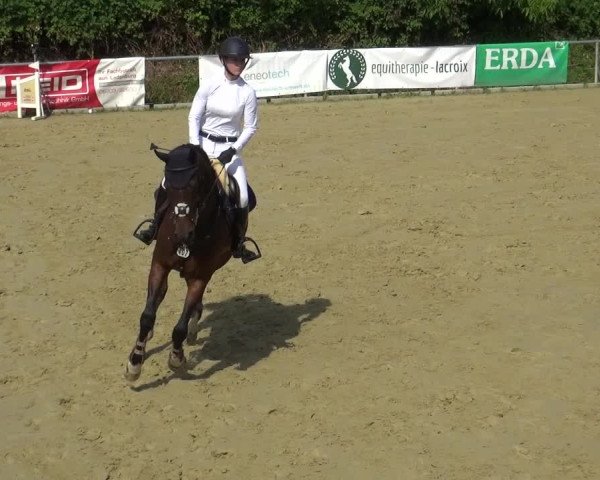 Reitturnier Ladenburg 2018