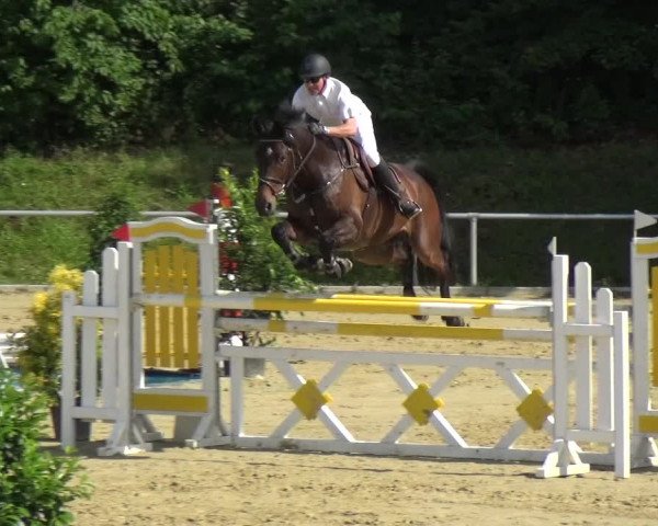 Reitturnier Ladenburg 2018