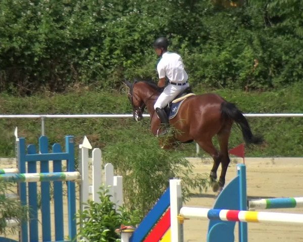 Reitturnier Ladenburg 2018