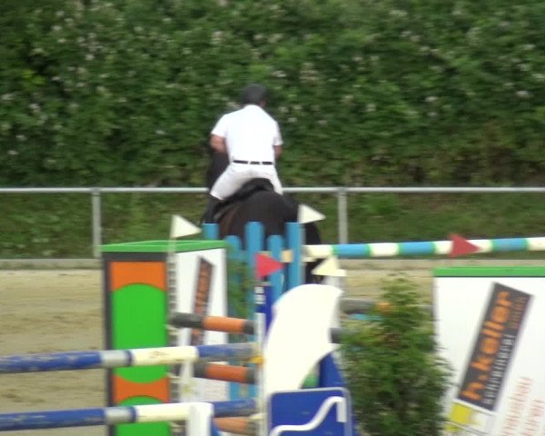 Reitturnier Ladenburg 2018