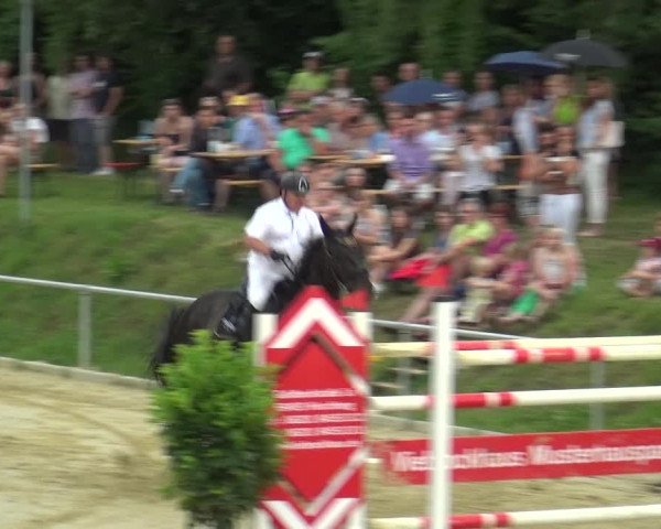 Reitturnier Ladenburg 2018