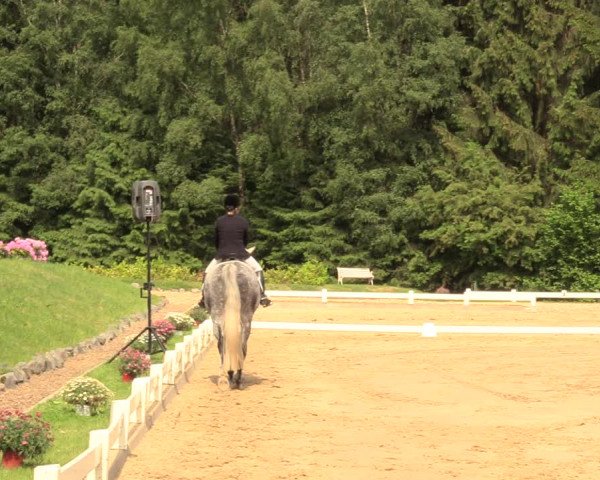 Reitturnier Halver 2018
