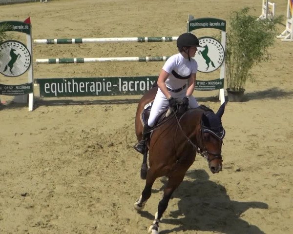 Reitturnier Ladenburg 2018