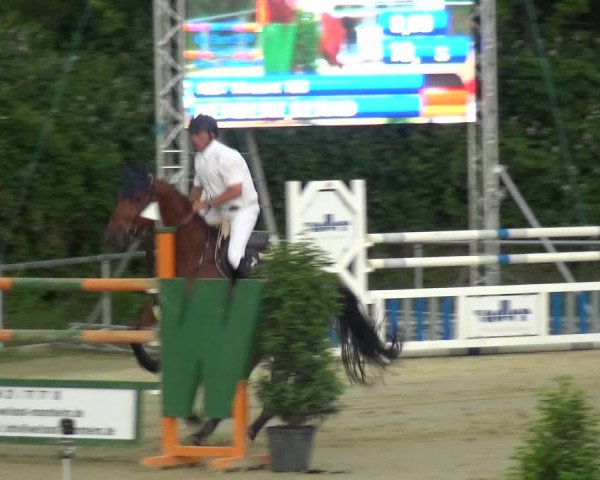 Reitturnier Ladenburg 2018