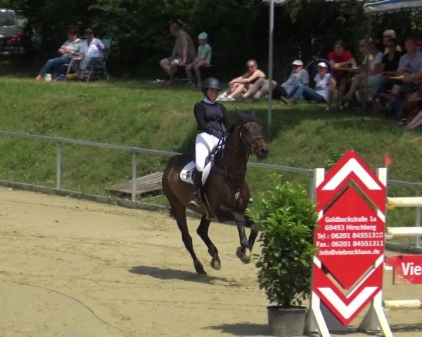 Reitturnier Ladenburg 2018