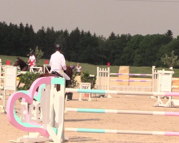Reitturnier Oberfrauendorf 2018