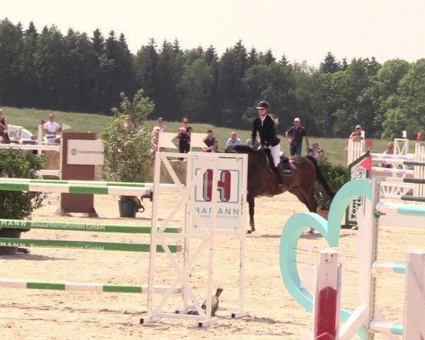 Reitturnier Oberfrauendorf 2018