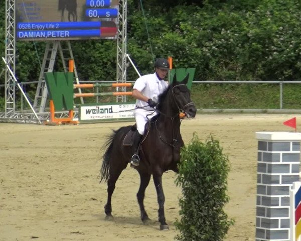 Reitturnier Ladenburg 2018