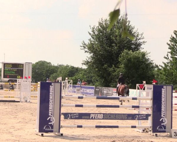 Reitturnier Oberfrauendorf 2018
