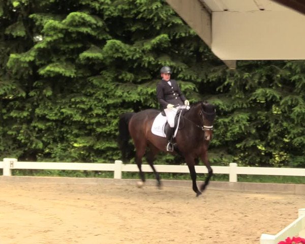 Reitturnier Halver 2018