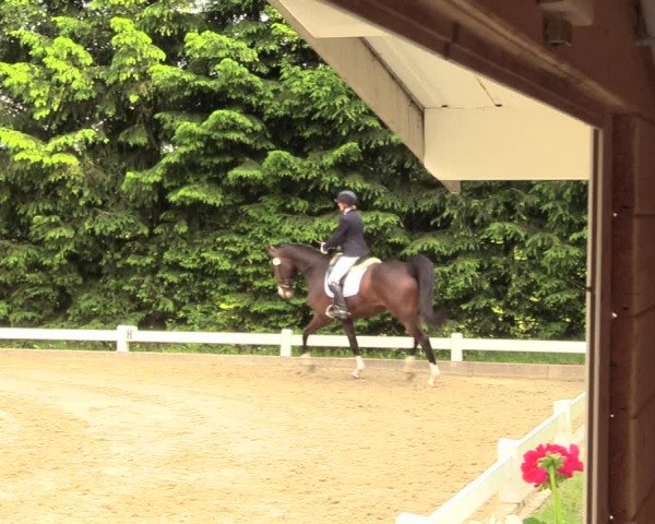 Reitturnier Halver 2018