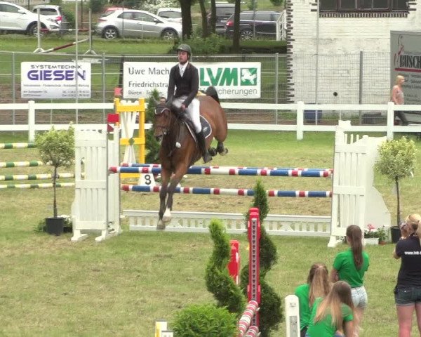 Reitturnier Düren - An der Kuhbrücke 2018