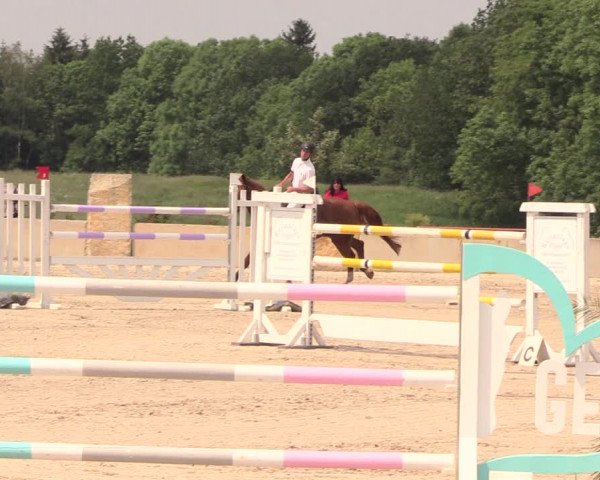 Reitturnier Oberfrauendorf 2018