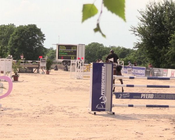 Reitturnier Oberfrauendorf 2018