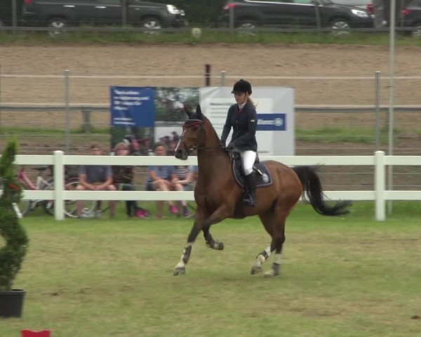 Reitturnier Düren - An der Kuhbrücke 2018