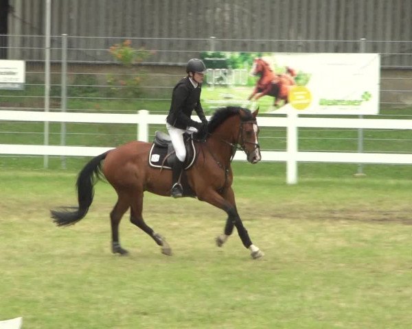 Reitturnier Düren - An der Kuhbrücke 2018