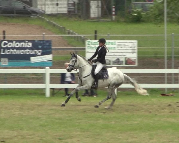 Reitturnier Düren - An der Kuhbrücke 2018