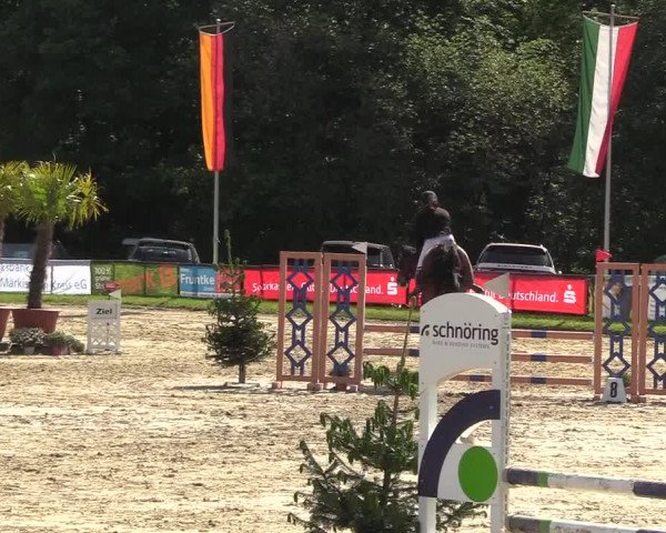 Reitturnier Halver 2018