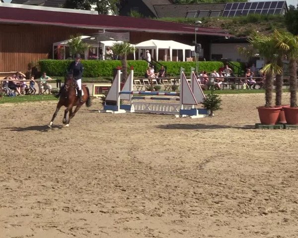 Reitturnier Halver 2018