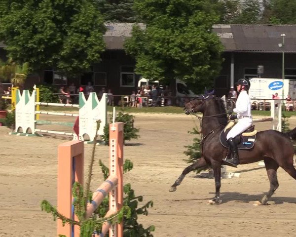 Reitturnier Halver 2018