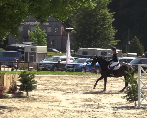 Reitturnier Halver 2018
