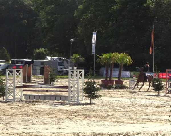 Reitturnier Halver 2018