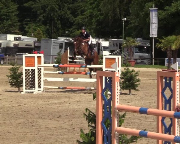 Reitturnier Halver 2018