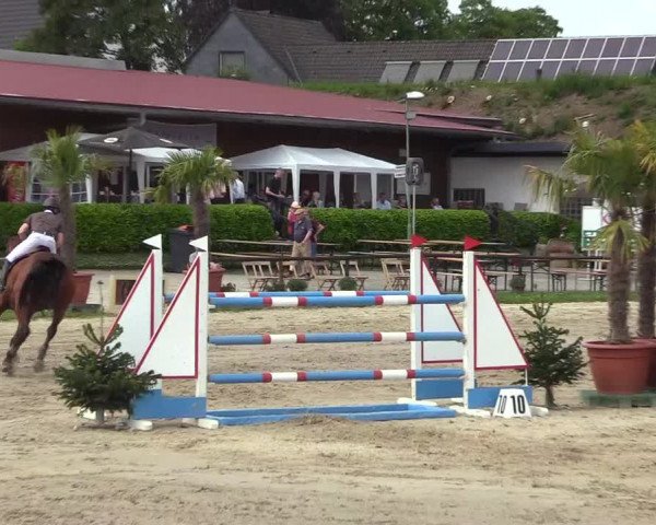Reitturnier Halver 2018