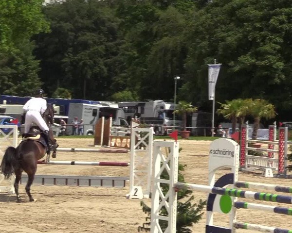 Reitturnier Halver 2018