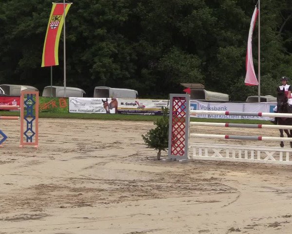 Reitturnier Halver 2018