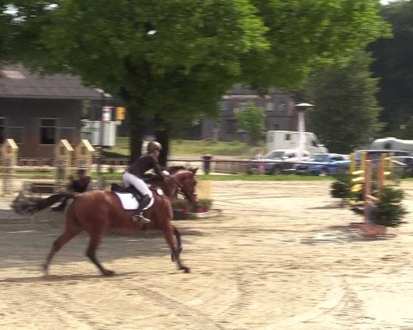 Reitturnier Halver 2018