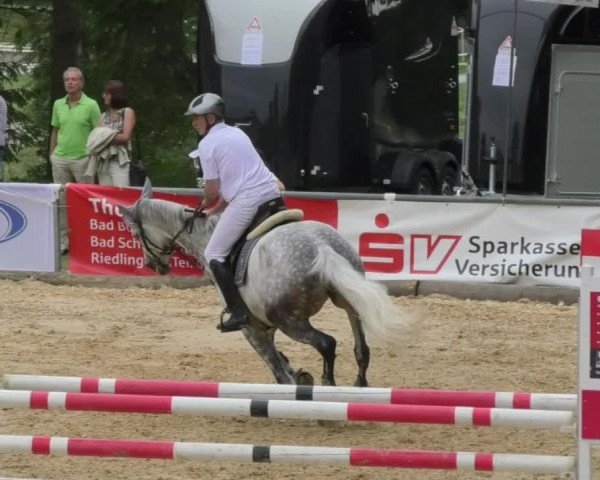 Reitturnier Bad Schussenried 2018