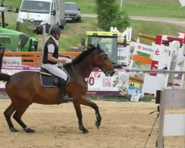 Reitturnier Bad Schussenried 2018