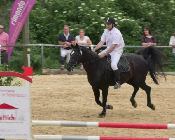 Reitturnier Bad Schussenried 2018