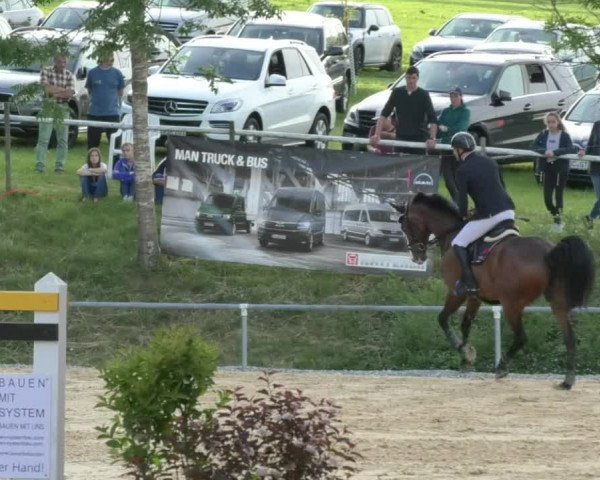 Reitturnier Bad Schussenried 2018
