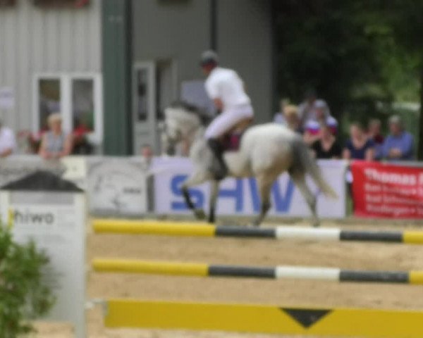 Reitturnier Bad Schussenried 2018