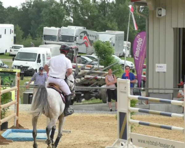 Reitturnier Bad Schussenried 2018