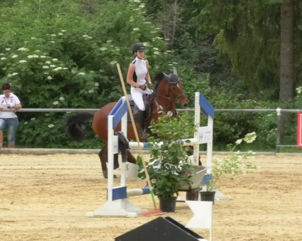 Reitturnier Bad Schussenried 2018
