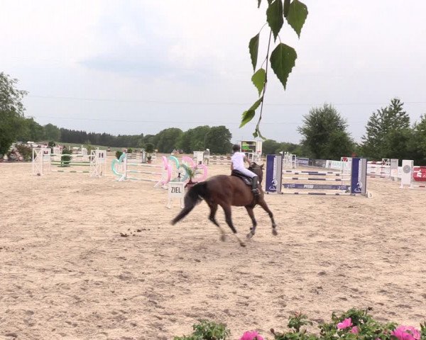 Reitturnier Oberfrauendorf 2018