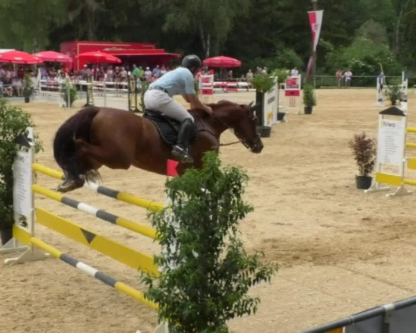 Reitturnier Bad Schussenried 2018