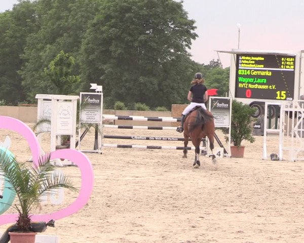 Reitturnier Oberfrauendorf 2018