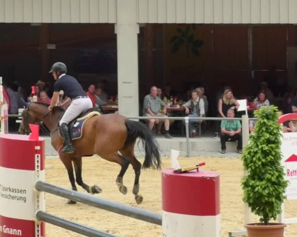 Reitturnier Bad Schussenried 2018