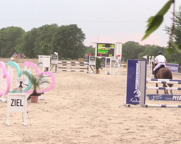 Reitturnier Oberfrauendorf 2018