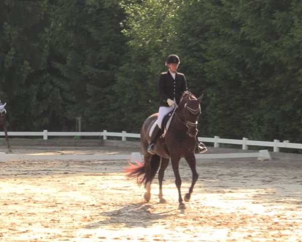 Reitturnier Halver 2018