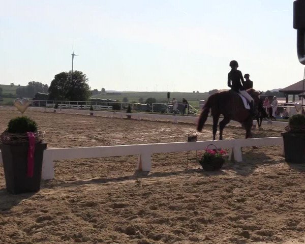 Reitturnier Brilon 2018