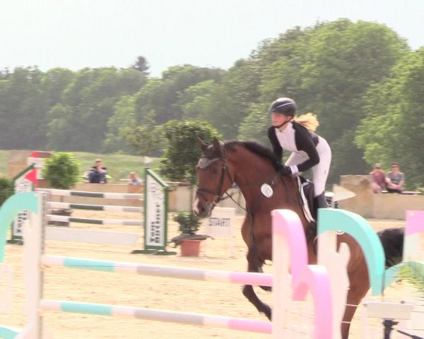 Reitturnier Oberfrauendorf 2018