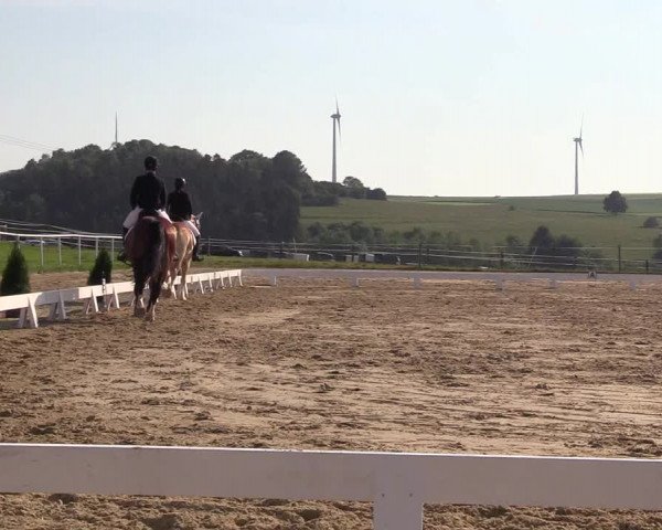 Reitturnier Brilon 2018