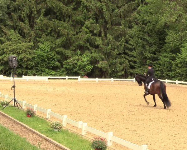 Reitturnier Halver 2018