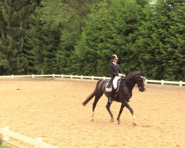 Reitturnier Halver 2018