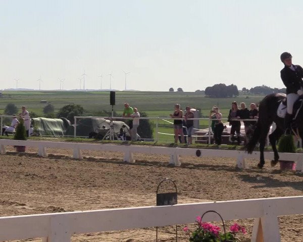 Reitturnier Brilon 2018